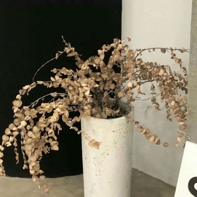 东川FurryQQ群介绍